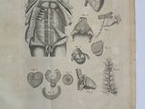 an old book with a drawing of a human body on it