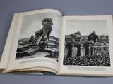 an open book with a picture of a lion on it