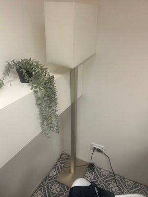 a plant that is sitting on the corner of a room