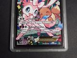 an image of a pokemon card in a plastic case