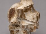 an image of a sculpture of a human skull on a gray background