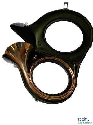 an image of a black and gold toilet with a brass handle