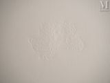 a picture of a white wall with a decorative design on it