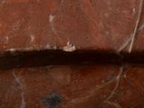 a close up of a piece of red marble on a table