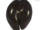 une image représentant un objet en forme de cœur en chocolat sur fond blanc