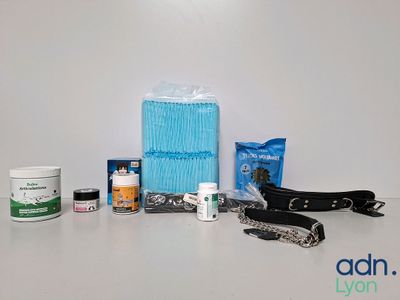 un grand nombre d'objets posés sur une table