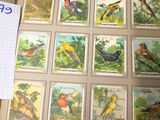 une image représentant un livre sur lequel figurent plusieurs oiseaux
