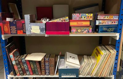 beaucoup de livres sur les étagères de la pièce