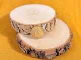 two slices of wood with a coin on them