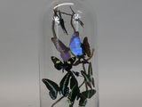 a glass cloche with butterflies inside of it