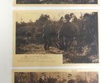 trois vieilles photos en noir et blanc représentant des personnes dans les bois