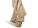 sculpture of a man ' s head made of stone on a white background