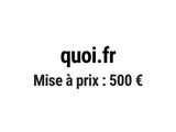 Photo 1/1 du lot