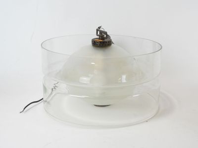 a small insect that is sitting on top of a glass bowl