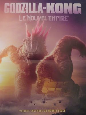 Godzilla Kong, Le Nouvel Empire - Affiche de cinéma 27 x 40 - Style français A