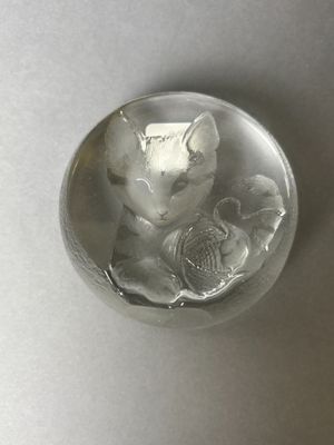 a glass ball with a picture of a cat inside of it