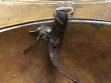 a small lizard that is sitting on top of a metal bowl