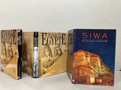 trois livres posés sur une table l'un à côté de l'autre