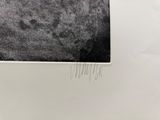 une photo en noir et blanc d'une image en noir et blanc représentant un chien