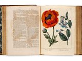 un livre ouvert sur lequel figurent une fleur orange et des feuilles vertes