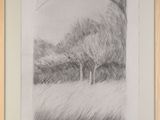 pencil drawing of a landscape with trees and grass in a wooden frame