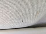 a small bug that is sitting on the back of a couch