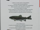 the back cover of a book with a picture of a fish on it
