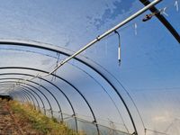 Lot de 3 tunnels en tubes galvanisés (55m x 6m chaque) dont … (photo 4)