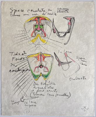 a drawing of a diagram of the inside of a human body