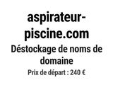 Photo 1/1 du lot