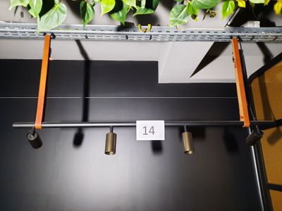 une plante qui pousse sur une étagère au-dessus d'une porte