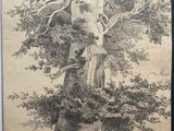an old drawing of a large tree with a bird perched on it