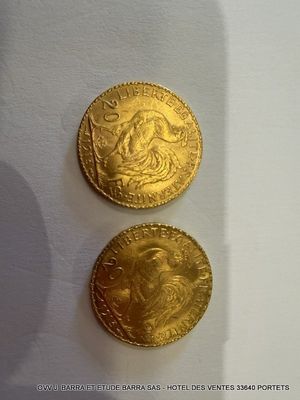 deux pièces d'or posées l'une à côté de l'autre sur une surface blanche