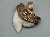 a picture of a pendant with a shark tooth in it