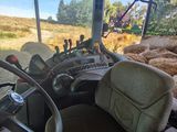 a truck that has a bunch of sheep inside of it