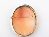 an image of a gold broochle with a pink stone in the center