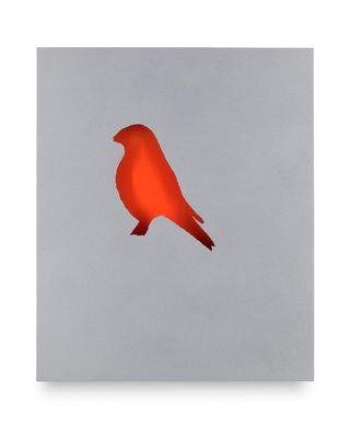 red bird on a gray background