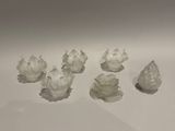 six petites fleurs blanches posées sur une surface blanche