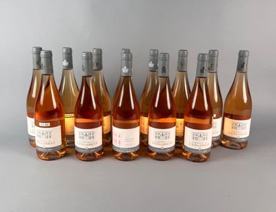 six bouteilles de vin sont alignées sur une surface grise