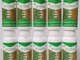 un lot de six flacons d'extrait de cannabis posés sur une table