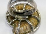 silver ring with a shell in the middle of it on a white surface