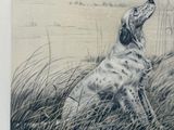 a drawing of a dog that is sitting in the grass