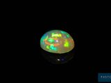 an oplite in the dark with a black background