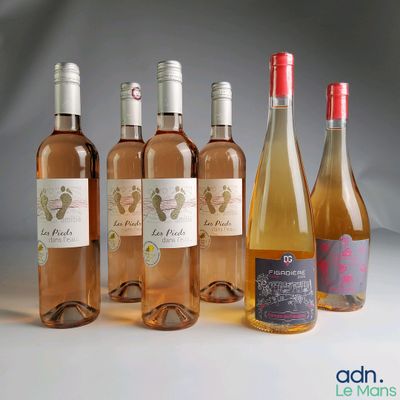 plusieurs bouteilles de vin sont alignées sur une surface blanche