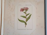 a picture of a book with a flower on it