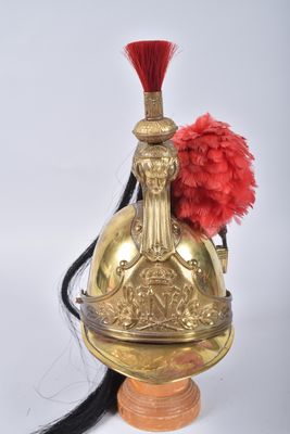 an image of a gold helmet with a red feather on top
