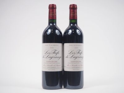 deux bouteilles de vin rouge posées l'une à côté de l'autre sur une surface blanche