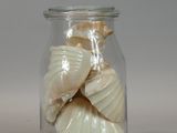 a glass jar with shells inside of it on a table