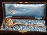 une cuillère en argent posée dans un écrin contenant une cuillère