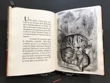 an open book with a drawing of a cat inside of it